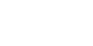 DNA HR & Payroll Visionaries